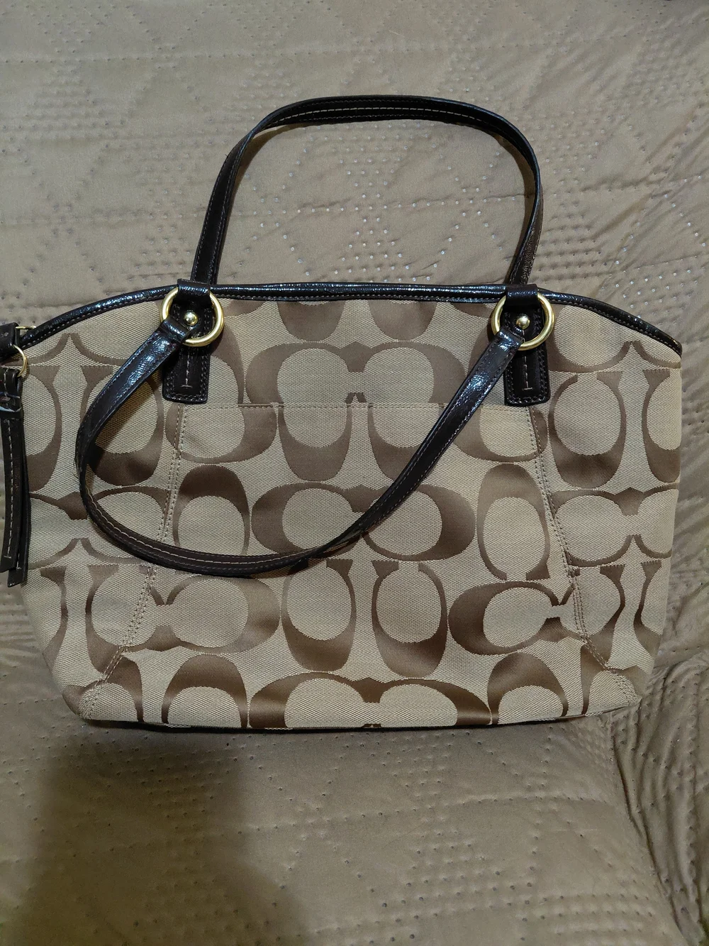 Coach Signature Canvas Tote in Brown